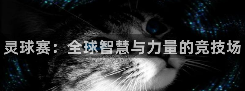 灵球赛：全球智慧与力量的竞技场