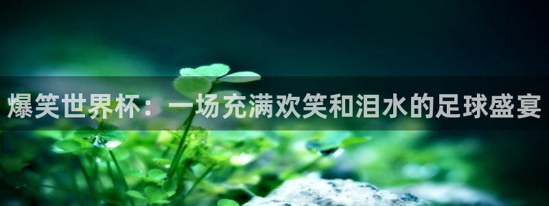 星空体育在线：爆笑世界杯：一场充满欢笑和泪水的足球盛宴
