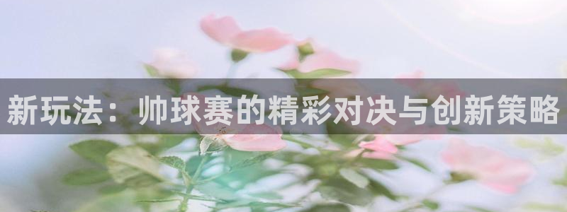 星空体育网址：新玩法：帅球赛的精彩对决与创新策略