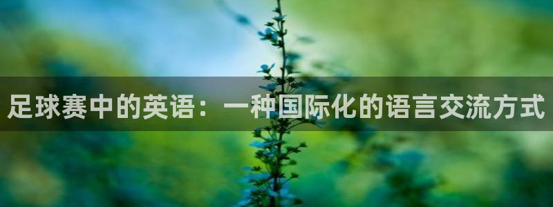 星空体育网址：足球赛中的英语：一种国际化的语言交流方式