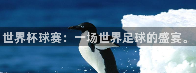 天空体育是什么：世界杯球赛：一场世界足球的盛宴。